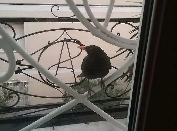 Rodeo Drive Διαμέρισμα *