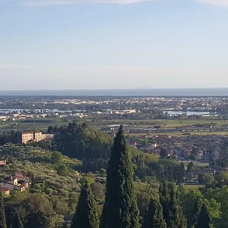 Lejlighed Rodeo Drive *