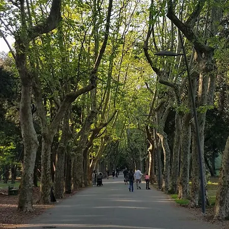 Lejlighed Rodeo Drive *