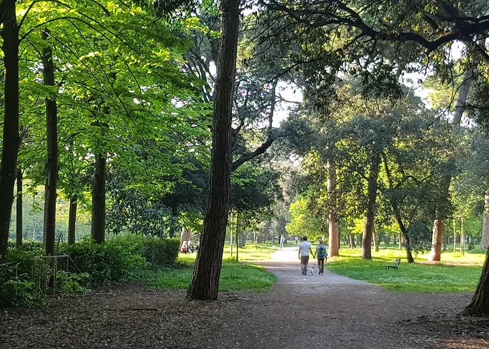 Apartment Rodeo Drive