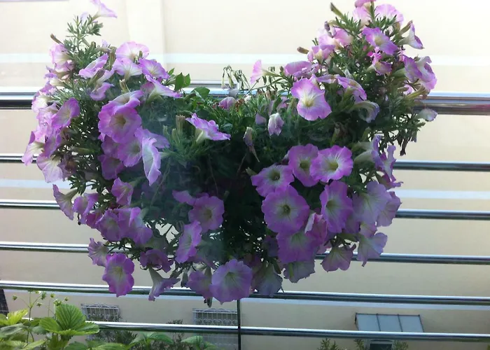 Апартаменти Rodeo Drive В'яреджо