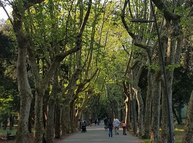 Апартаменти Rodeo Drive *